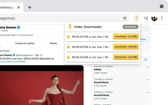 Video Downloader Web ڈاؤن لوڈ کریں – تمام ویڈیوز کے لیے بہترین ایکسٹینشن - Screenshot 1