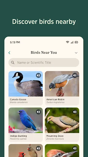 Audubon Bird Guide ڈاؤن لوڈ کریں – پرندوں کی شناخت کے لیے بہترین ایپ - Screenshot 5