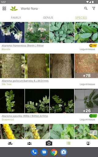 PlantNet Plant Identification ڈاؤن لوڈ کریں – پودوں کی شناخت اب آسان - Screenshot 7
